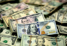 Remittances Surge by $5 Billion in First Seven Months of FY25