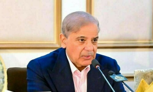 PMShehbaz