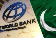 World Bank Backs Pakistan’s Grid Reforms with $376mn Investment to Boost Renewable Energy
