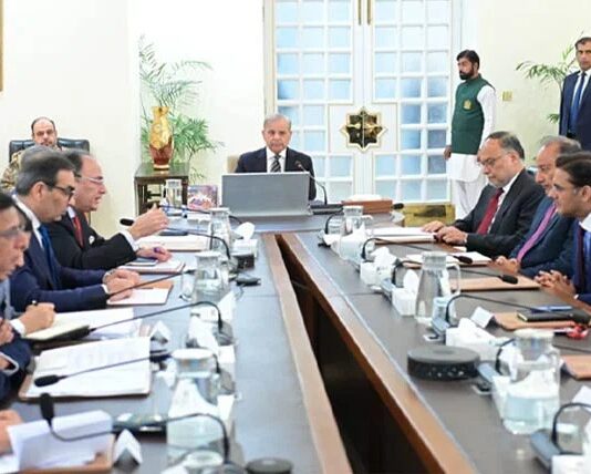 PM Seeks Uninterrupted Gas Imports, Winter Load Management Plan